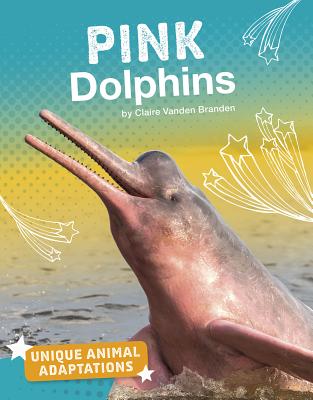 Pink Dolphins By Claire Vanden Branden Cover Image