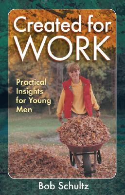 Created for Work: Practical Insights for Young Men By Bob Schultz Cover Image