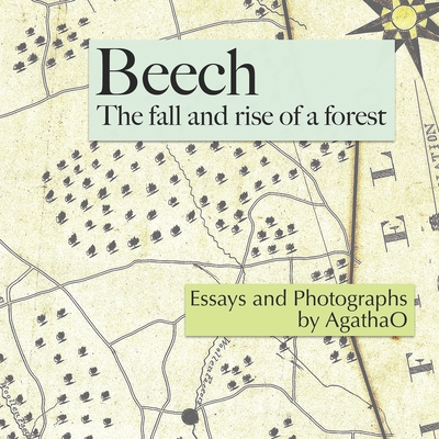 Beech: The Fall and Rise of a Forest By Pleun Clara Bouricius, Agathao Cover Image