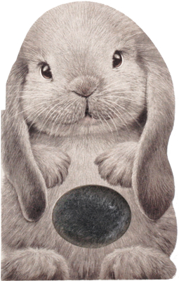 Furry Bunny By Annie Auerbach, Laura Rigo (Illustrator) Cover Image