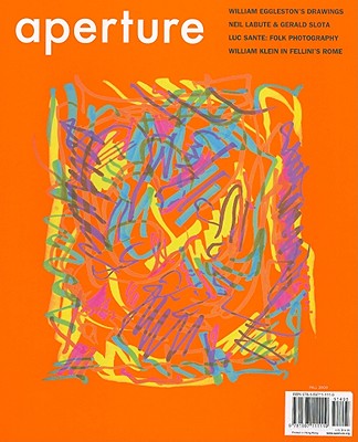 Aperture 196 Cover Image
