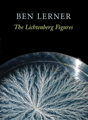 Cover for The Lichtenberg Figures (Hayden Carruth Award for New and Emerging Poets)