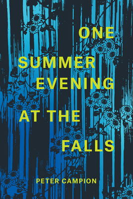 One Summer Evening at the Falls (Phoenix Poets)