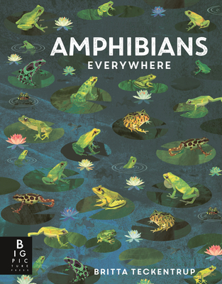 Amphibians Everywhere: (A Kids' Nonfiction Science and Nature Book About Frogs, Toads, Newts, Salamanders, and Habitats for Ages 6-9) (Animals Everywhere)