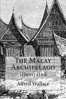 The Malay Archipelago: Illustrated