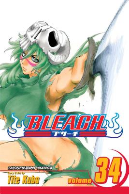 Bleach, Vol. 34 cover image