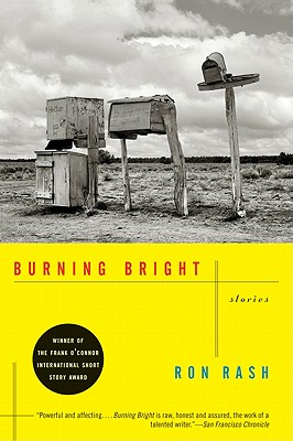 Cover for Burning Bright: Stories