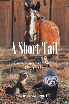 A Short Tail: The Adventures of Sirius, The Arabian By Linda Carpenter Cover Image