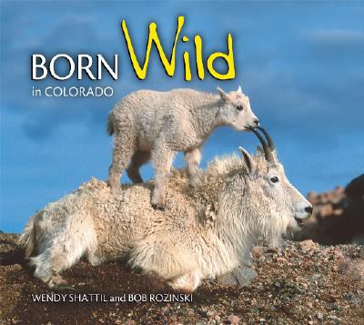 Born Wild in Colorado Cover Image