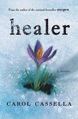 Cover Image for Healer: A Novel