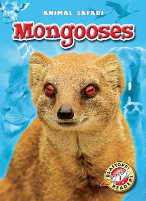 Mongooses (Animal Safari) By Megan Borgert-Spaniol Cover Image