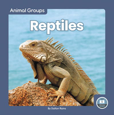 Reptiles By Dalton Rains Cover Image