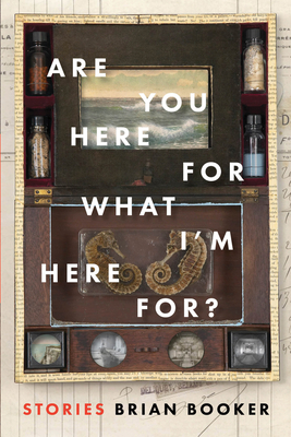 Are You Here for What I'm Here For? By Brian Booker Cover Image