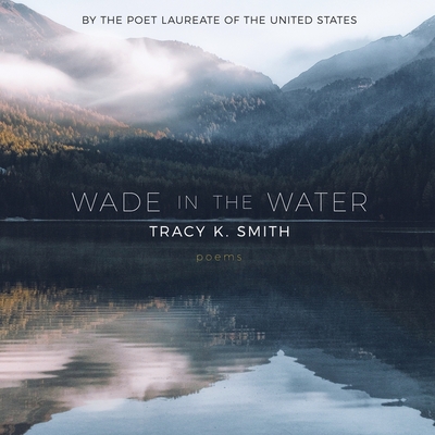 Cover for Wade in the Water