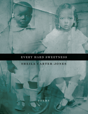 Every Hard Sweetness Cover Image