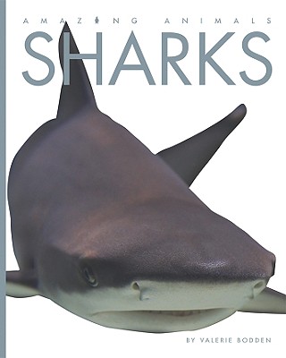Cover for Sharks (Amazing Animals (Creative Education Hardcover))