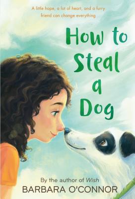 How to Steal a Dog: A Novel By Barbara O'Connor Cover Image