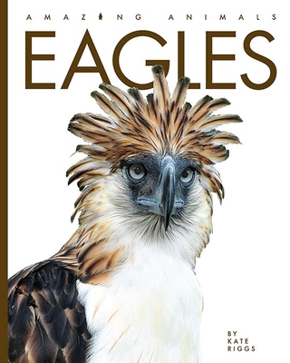 Eagles (Amazing Animals)