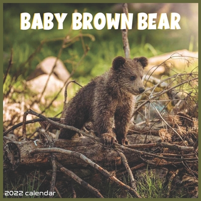 Baby Brown bear 2022 Calendar: Offcial Brown bear Animal 2022 Calendar 16 Months By Pro Calendar 2022-2023 Cover Image