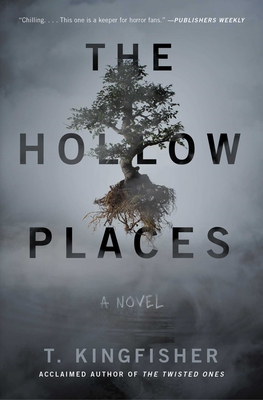 The Hollow Places: A Novel Cover Image