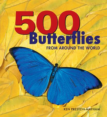 500 Butterflies: Butterflies from Around the World By Ken Preston-Mafham Cover Image