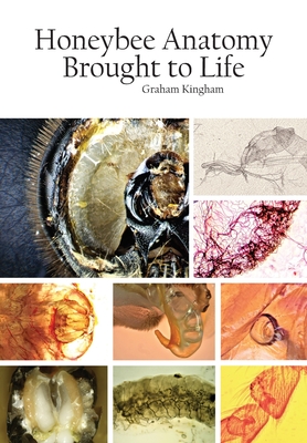 Honeybee Anatomy Brought to Life By Graham Kingham, Simon J. Paterson (Designed by) Cover Image