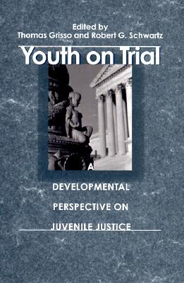 Youth on Trial: A Developmental Perspective on Juvenile Justice (The John D. and Catherine T. MacArthur Foundation Series on Mental Health and Development, Research Network on Adolescent Development and Juvenile Justice) Cover Image