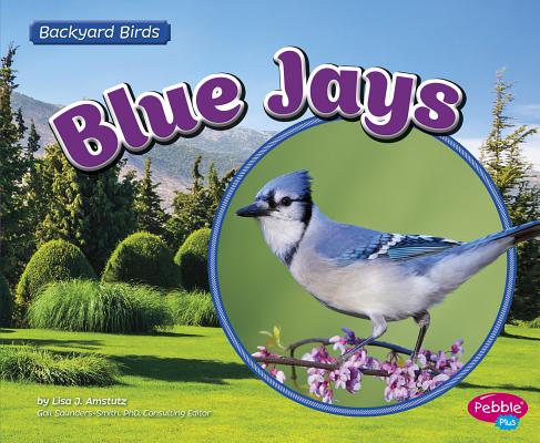 Blue Jays (Backyard Birds) By Lisa J. Amstutz Cover Image