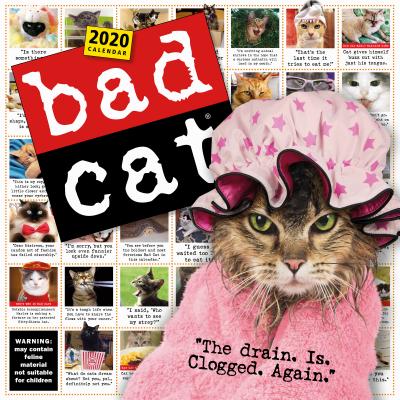 Bad Cat Wall Calendar 2020 By Workman Calendars Cover Image