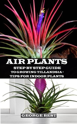 Air Plant: Step by Step Guide to Growing Tillandsia + Tips for Indoor Plants Cover Image