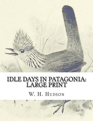 Idle Days in Patagonia: Print (Large Print / Paperback) | The King's English Bookshop