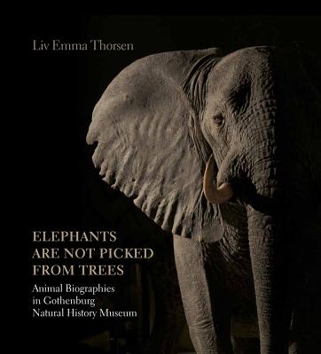 'Elephants Are Not Picked from Trees': Animal Biographies in the Gothenburg Museum of Natural History Cover Image