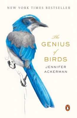 The Genius of Birds By Jennifer Ackerman Cover Image