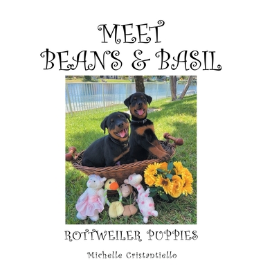 Meet Beans and Basil: Rottweiler Puppies
