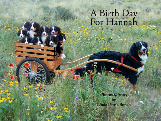 A Birth Day for Hannah (Mountain Dog Books)