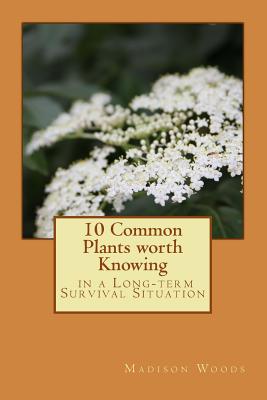 10 Common Plants Worth Knowing in a Long-Term Survival Situation Cover Image