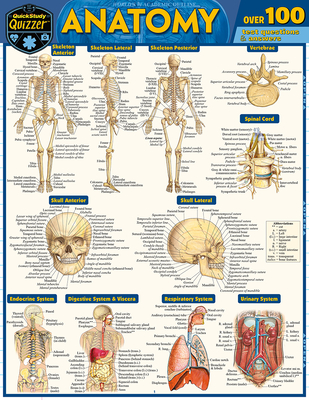 Anatomy Quizzer: A Quickstudy Laminated Reference Guide By Vincent Perez Cover Image