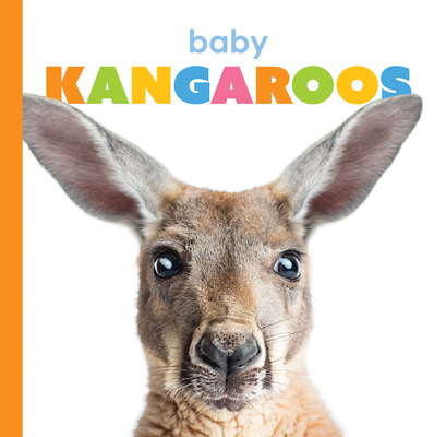 Baby Kangaroos (Starting Out) Cover Image