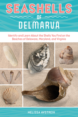 Seashells of Delmarva: Identify and Learn about the Shells You