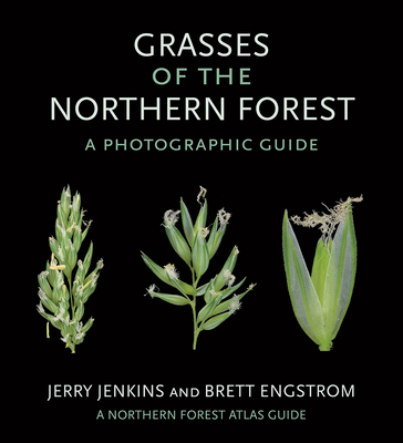 Grasses of the Northern Forest: A Photographic Guide (Northern Forest Atlas Guides)
