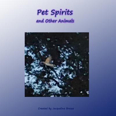 Pet Spirits