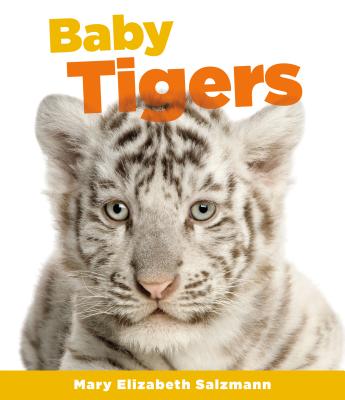 Baby Tigers (Baby Animals) (Library Binding) | Barrett Bookstore