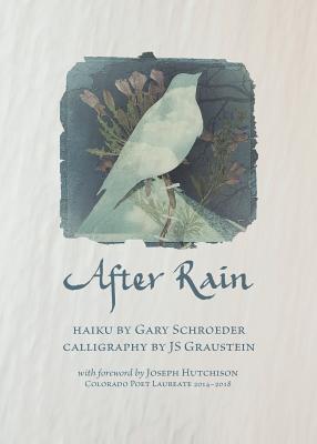 After Rain Cover Image