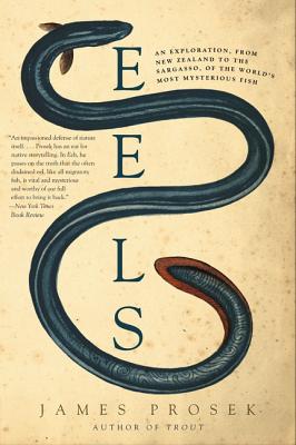 Eels: An Exploration, from New Zealand to the Sargasso, of the World's Most Mysterious Fish By James Prosek Cover Image