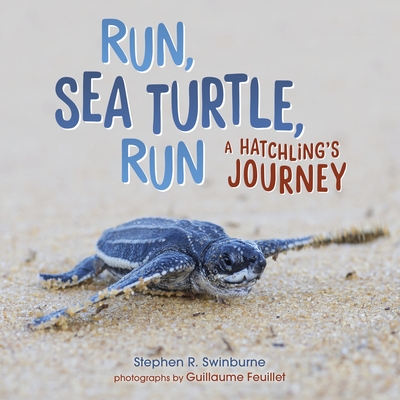 Run, Sea Turtle, Run: A Hatchling's Journey By Stephen R. Swinburne Cover Image