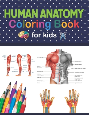 Download Human Anatomy Coloring Book For Kids Human Body Coloring Activity Book For Kids Human Body Anatomy Coloring Book For Kids Boys And Girls And Medi Paperback Rj Julia Booksellers