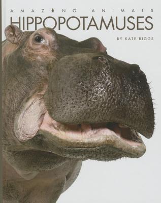 Hippopotamuses (Amazing Animals) Cover Image