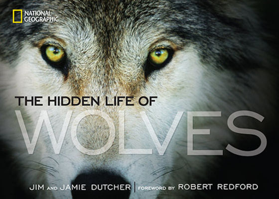 The Hidden Life of Wolves By Jamie Dutcher, Jim Dutcher, Robert Redford (Foreword by) Cover Image