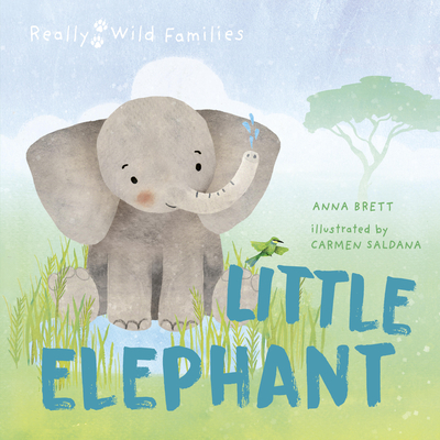 Little Elephant: A Day in the Life of a Elephant Calf (Really Wild Families) By Carmen Saldana (Illustrator), Anna Brett Cover Image