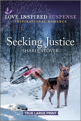 Seeking Justice Cover Image